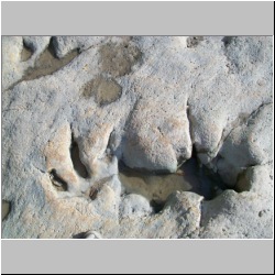 100_0309 (2009-25-07).JPG